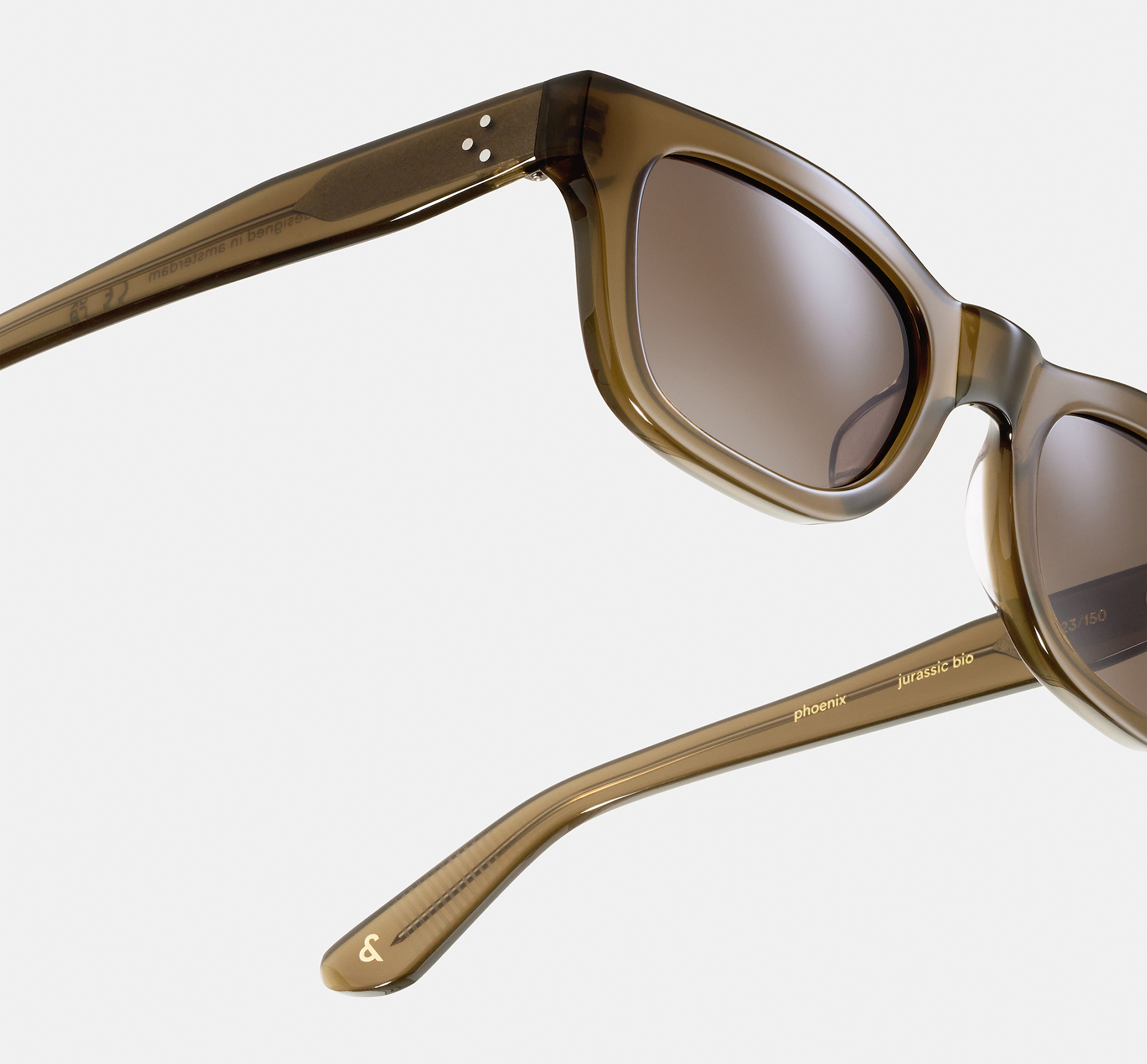 Phoenix Sepia | Rectangular Acetate Sunglasses | Ace & Tate