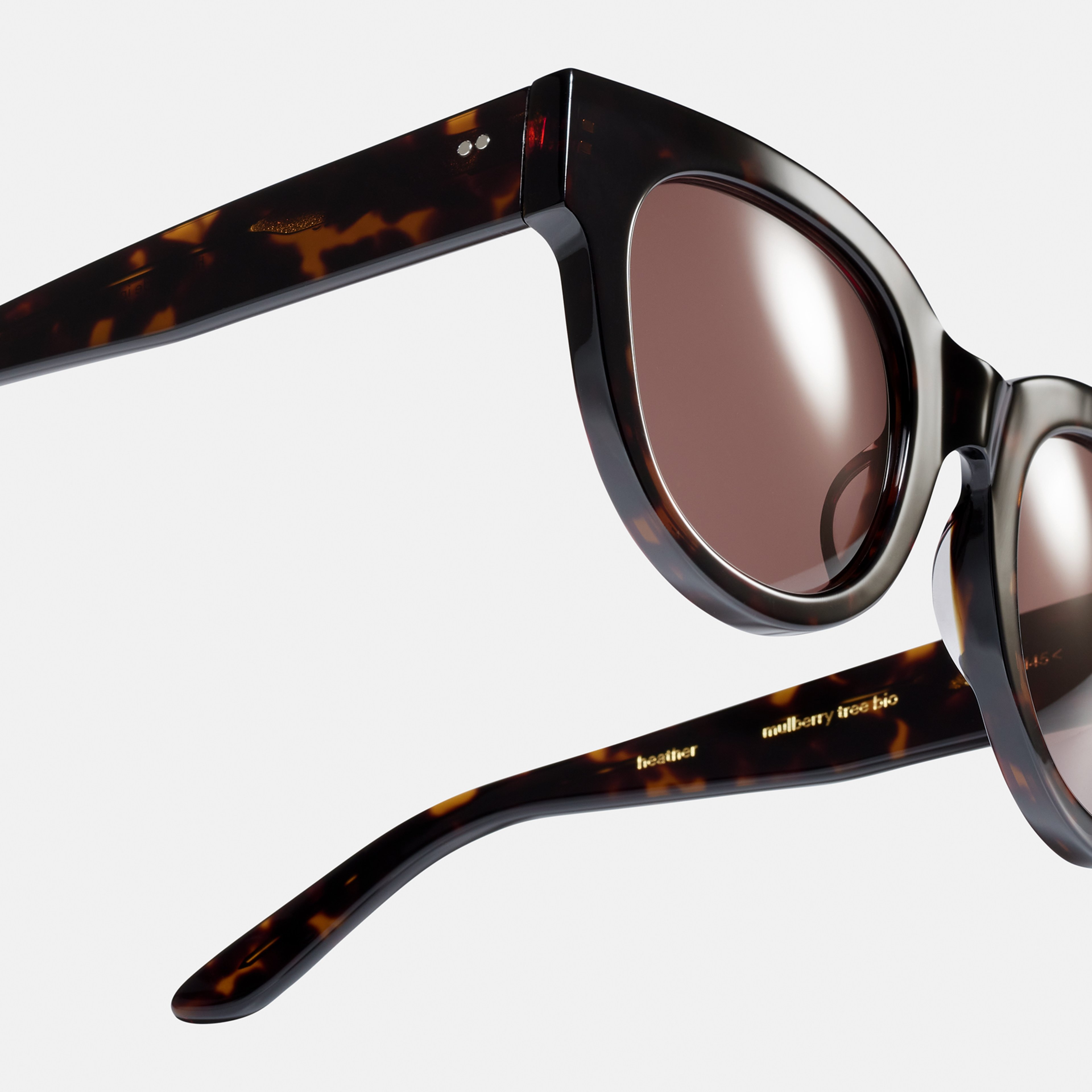 Ace & Tate Solaires | ronde Acétate in tortoise