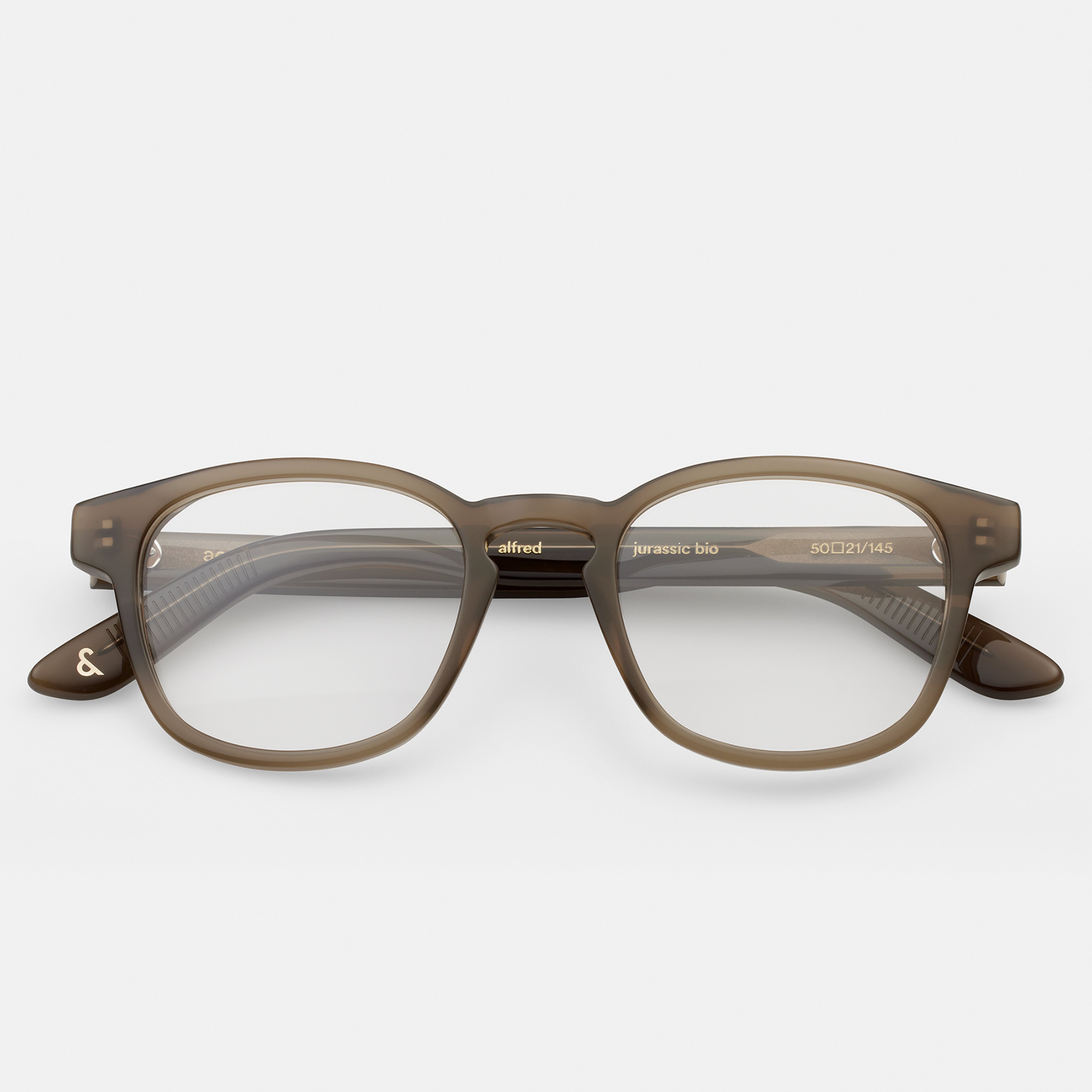 Alfred Jurassic Square Acetate Glasses Ace Tate