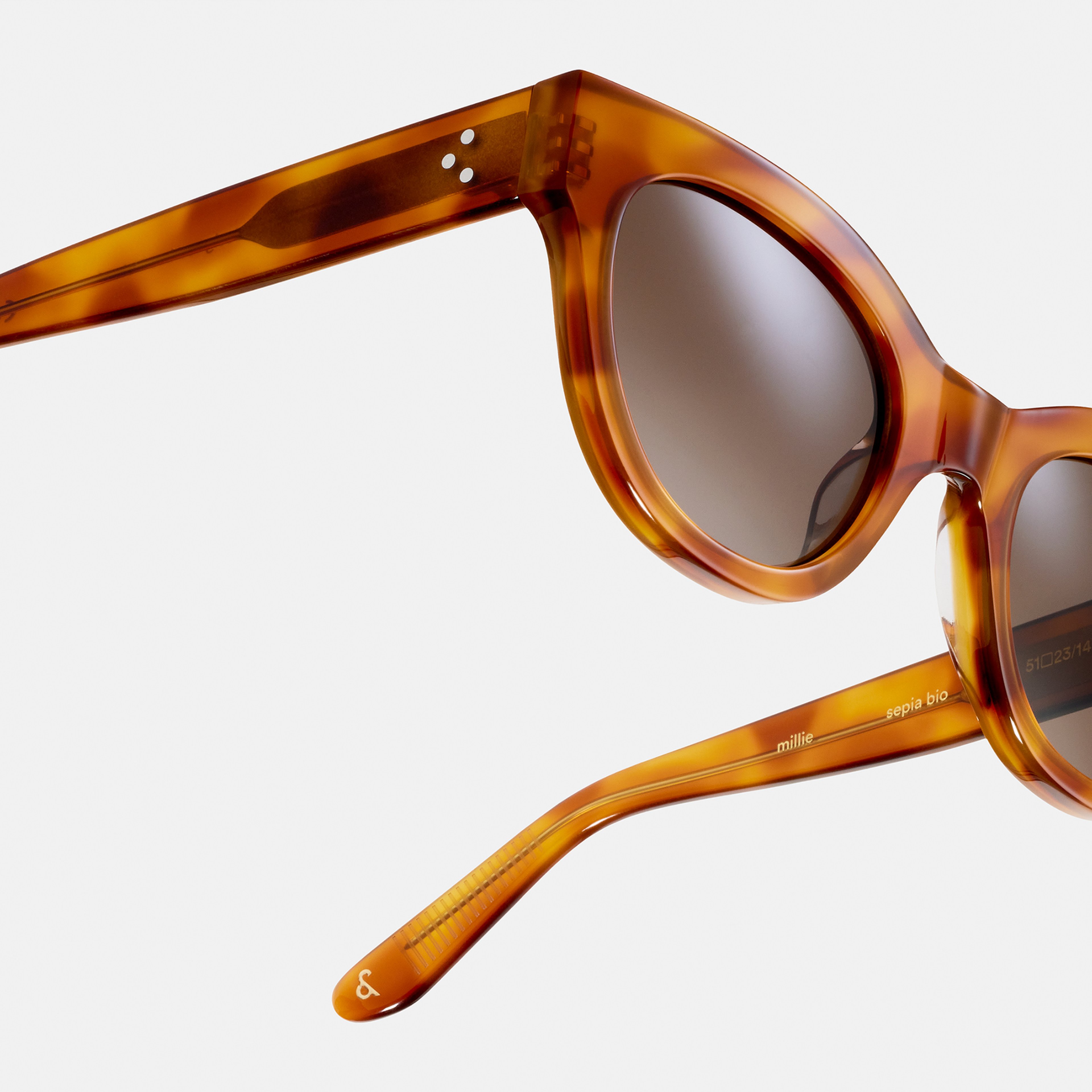 Ace & Tate Sunglasses | Round Acetate in Brown
