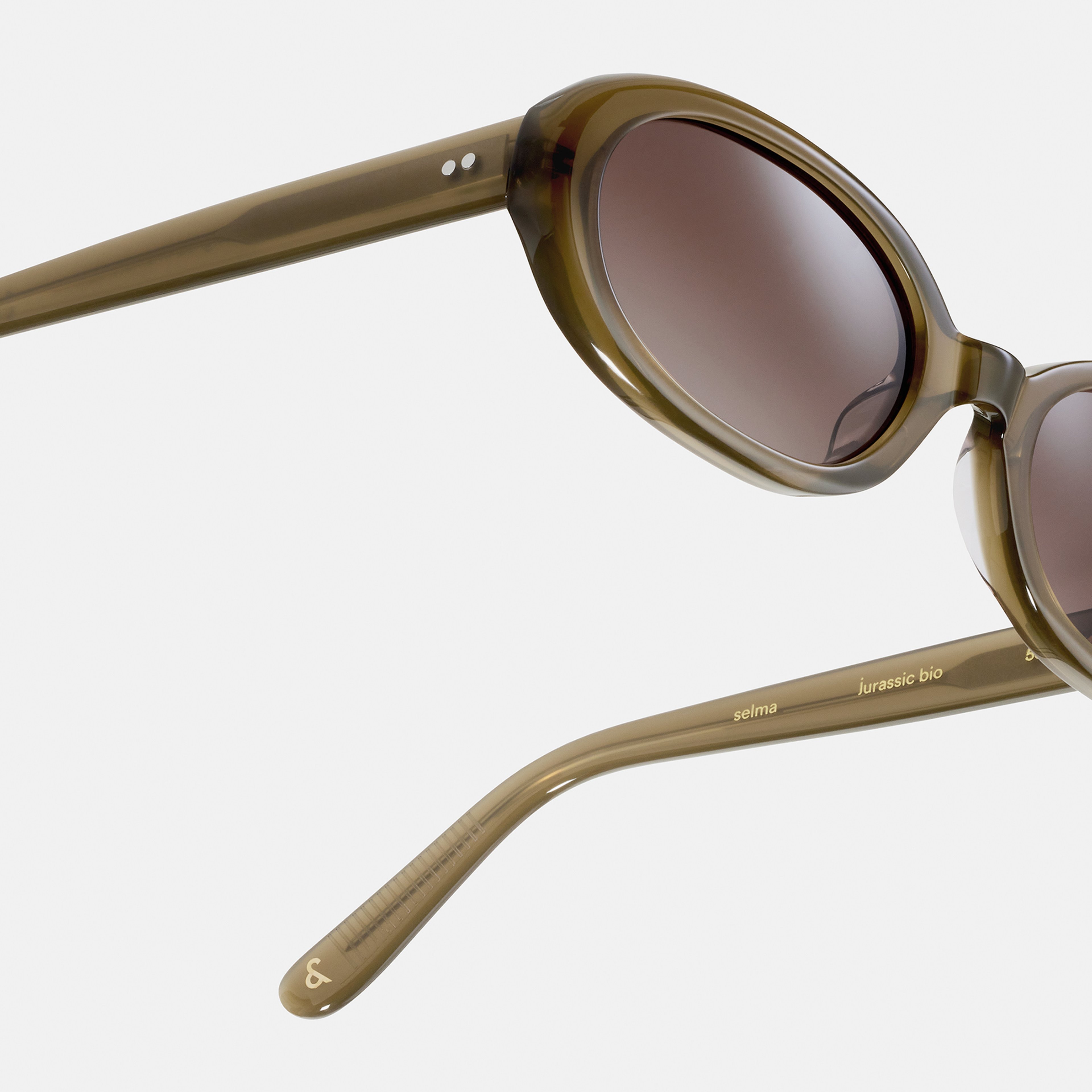 Ace & Tate Solaires | Oval Acétate in Vert