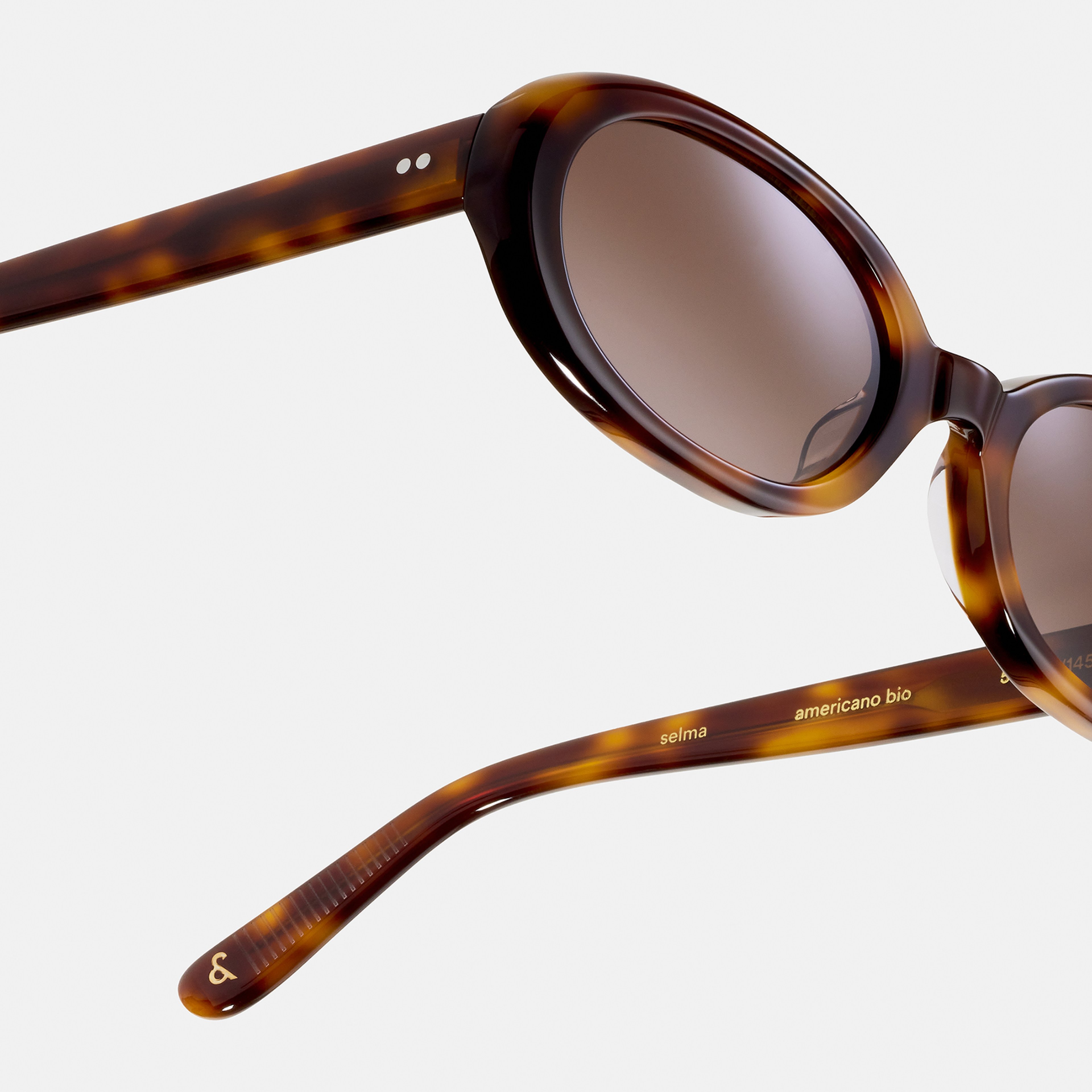 Ace & Tate Sunglasses | Oval Acetate in Black, Brown