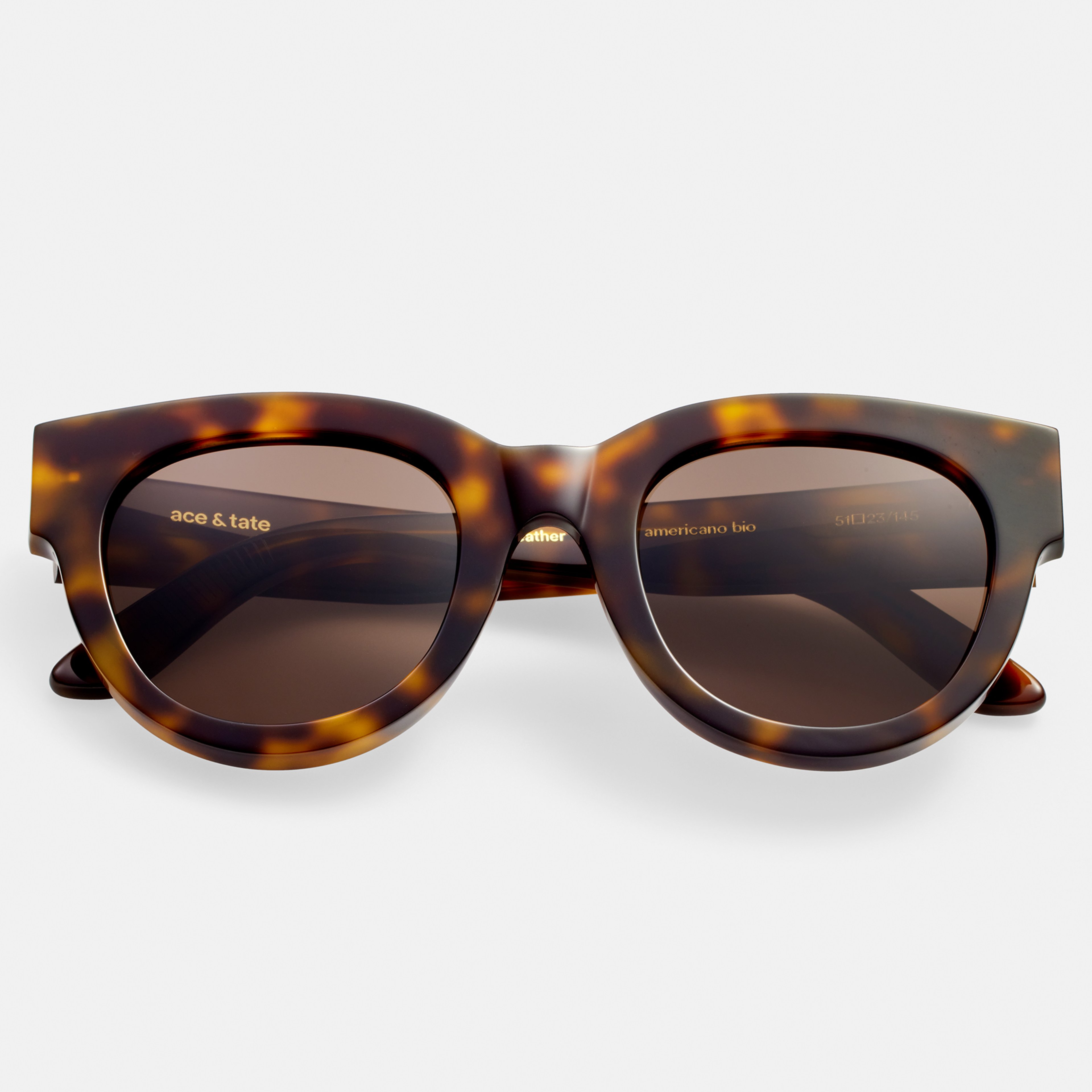 Ace & Tate Sunglasses | Round Acetate in Black, Brown