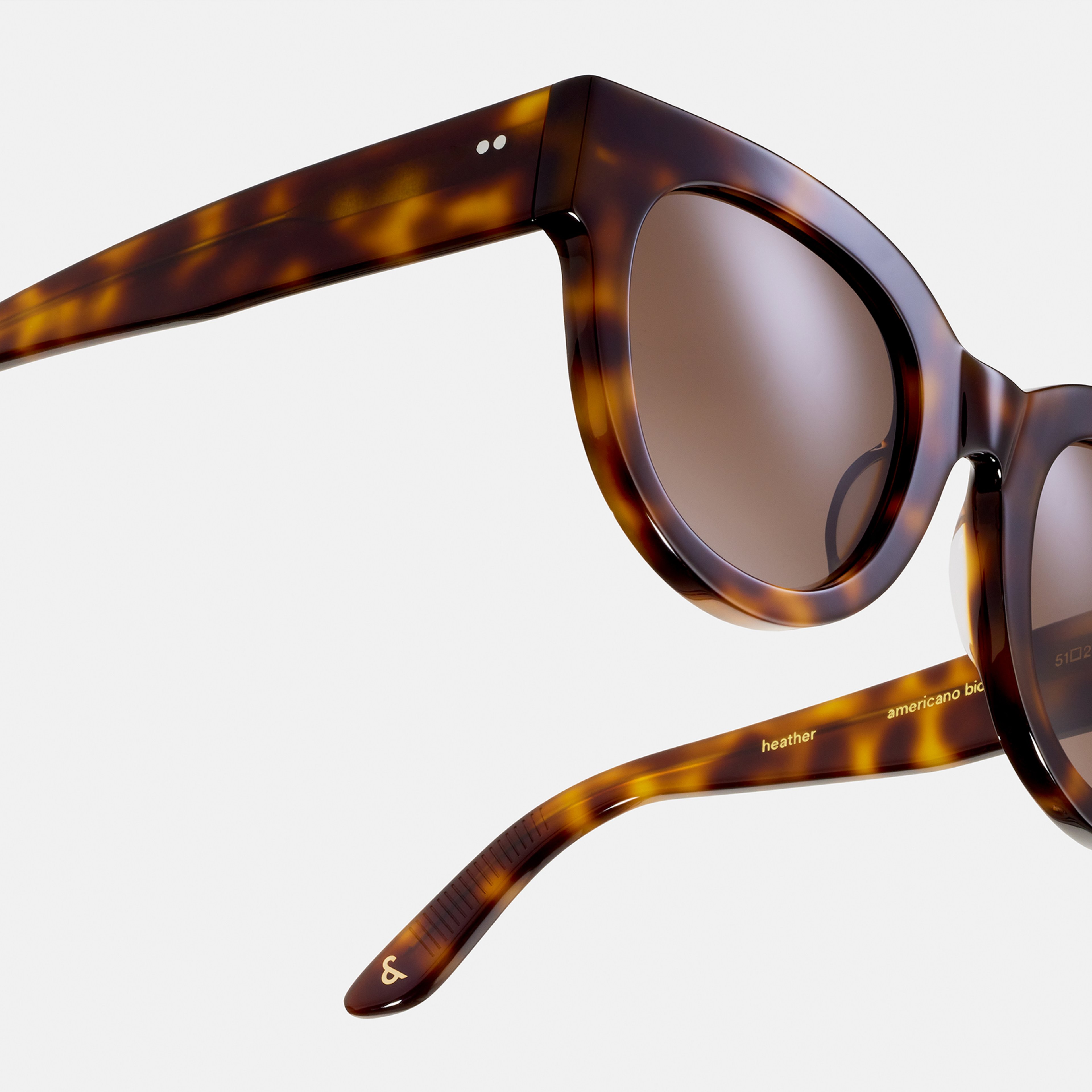 Ace & Tate Sunglasses | Round Acetate in Black, Brown
