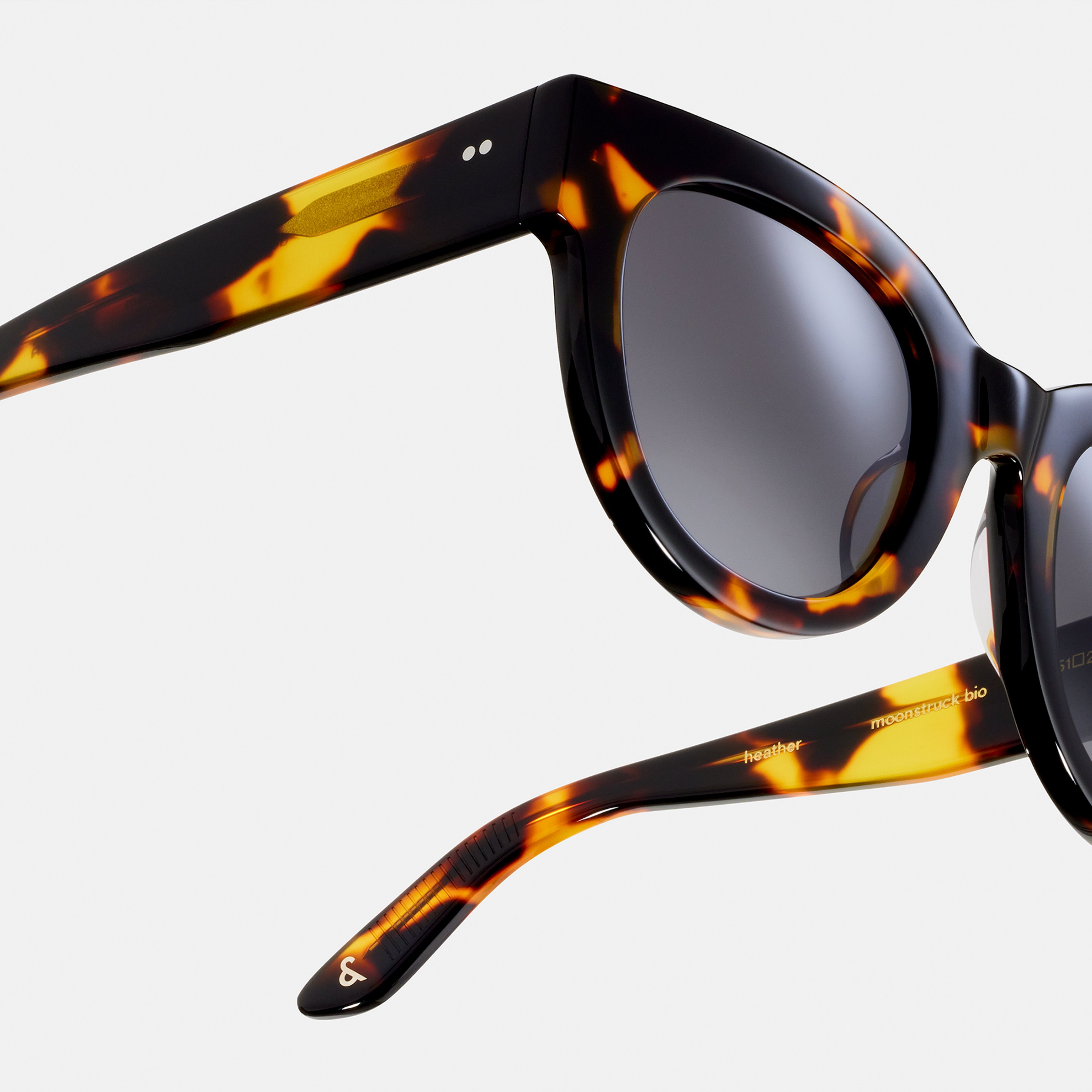Ace & Tate Sunglasses | Round Acetate in Black, Brown, Yellow
