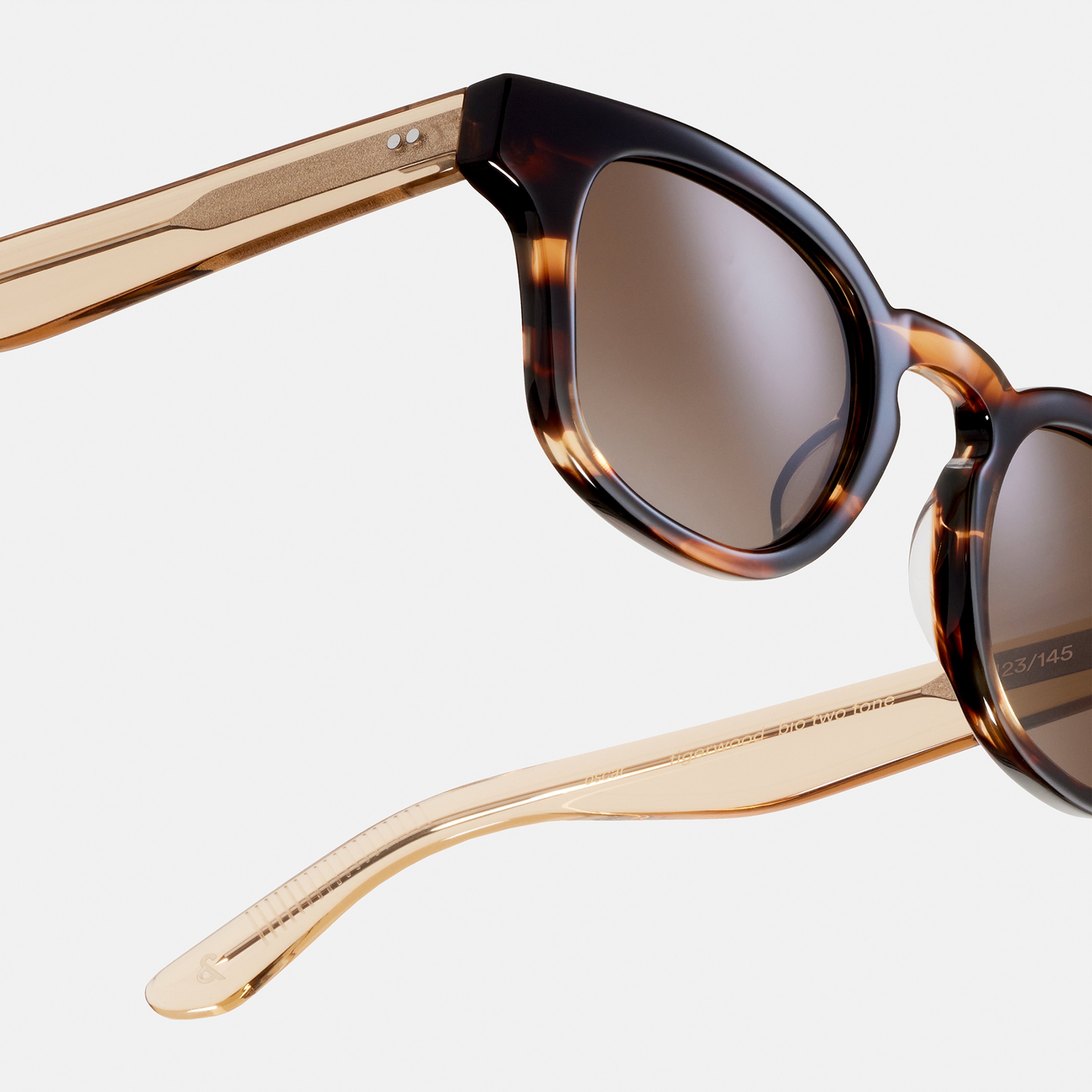 Ace & Tate Sunglasses | Round Acetate in Brown, Orange, Yellow