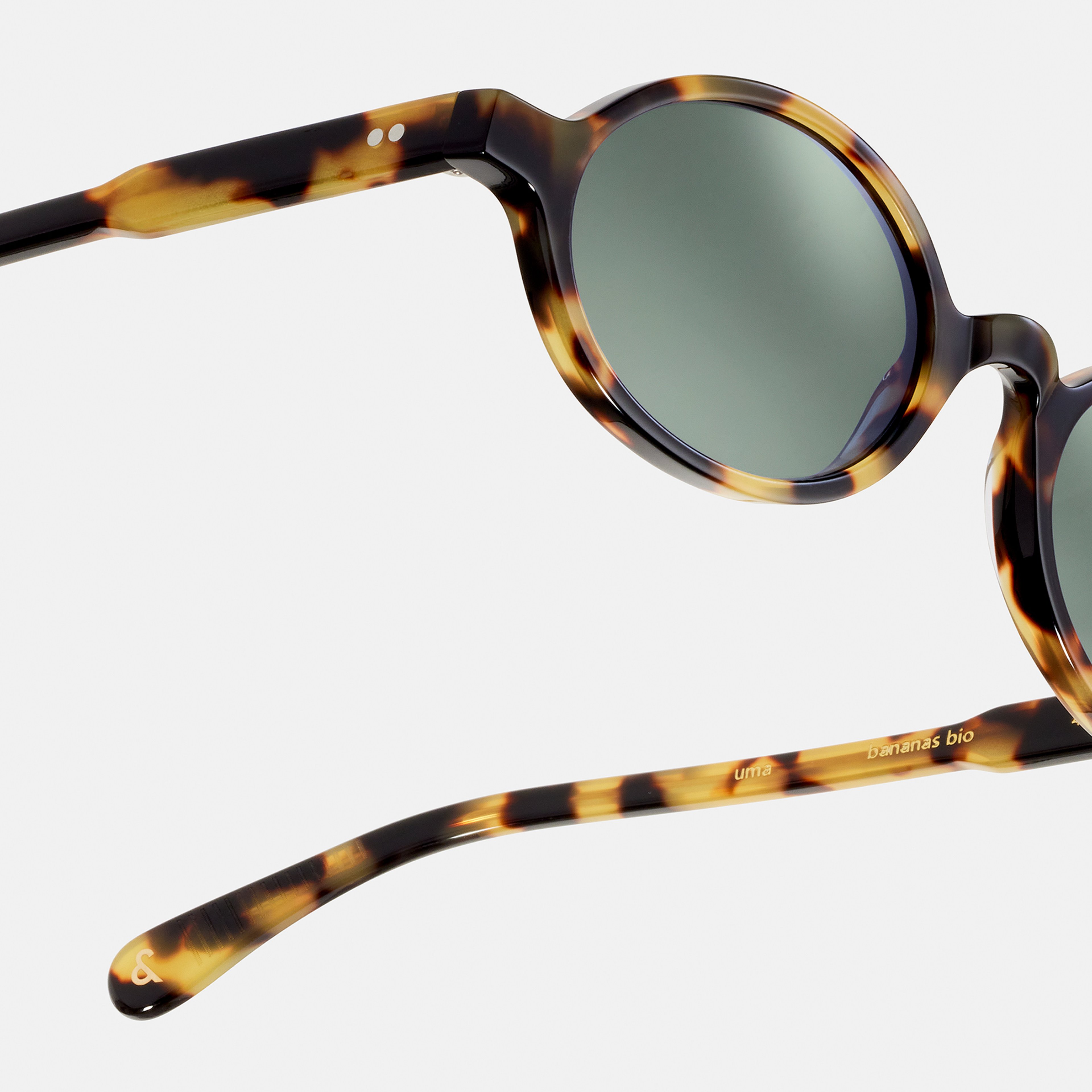 Ace & Tate Sunglasses | Round Acetate in Brown, Yellow