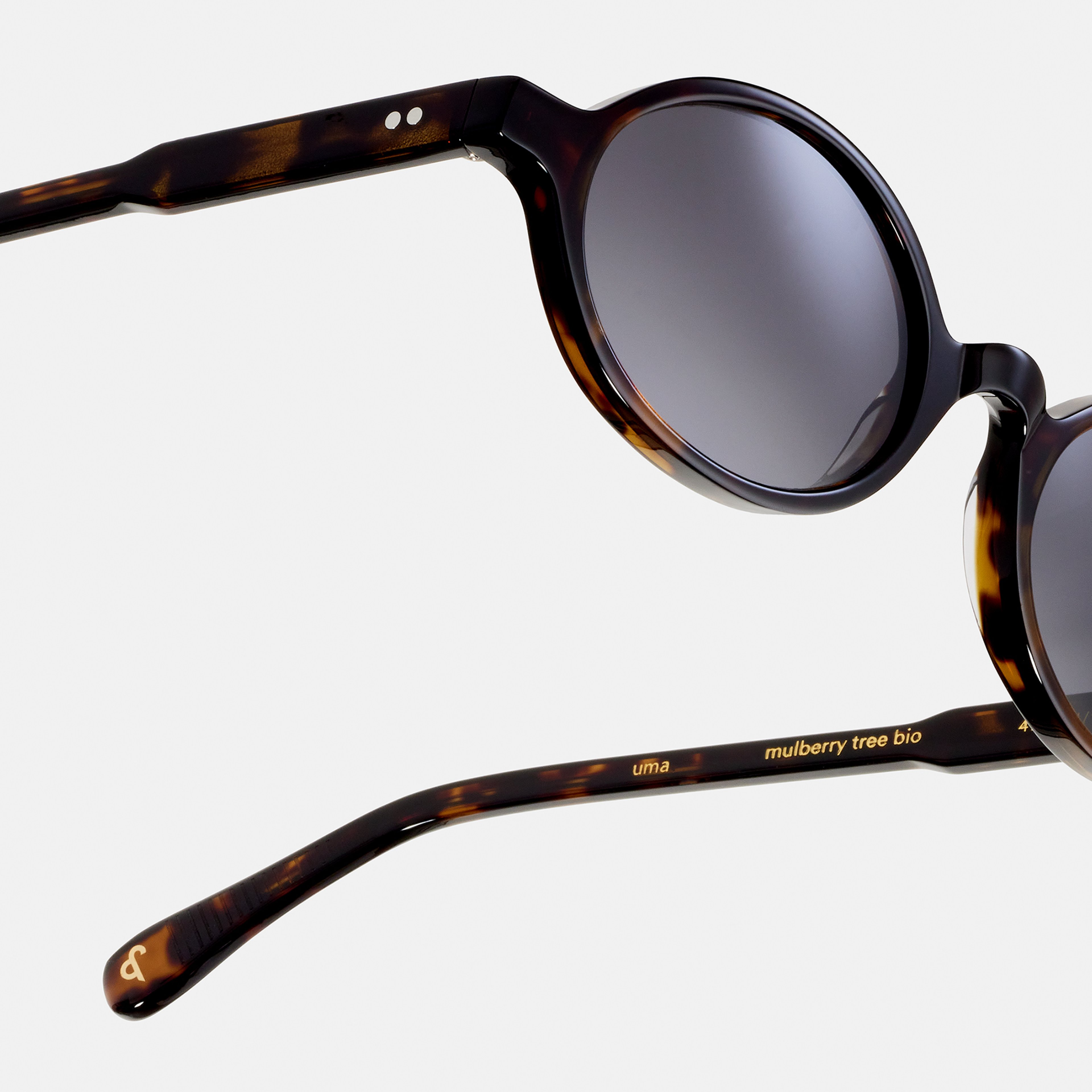Ace & Tate Sonnenbrillen | Rund Acetat in 