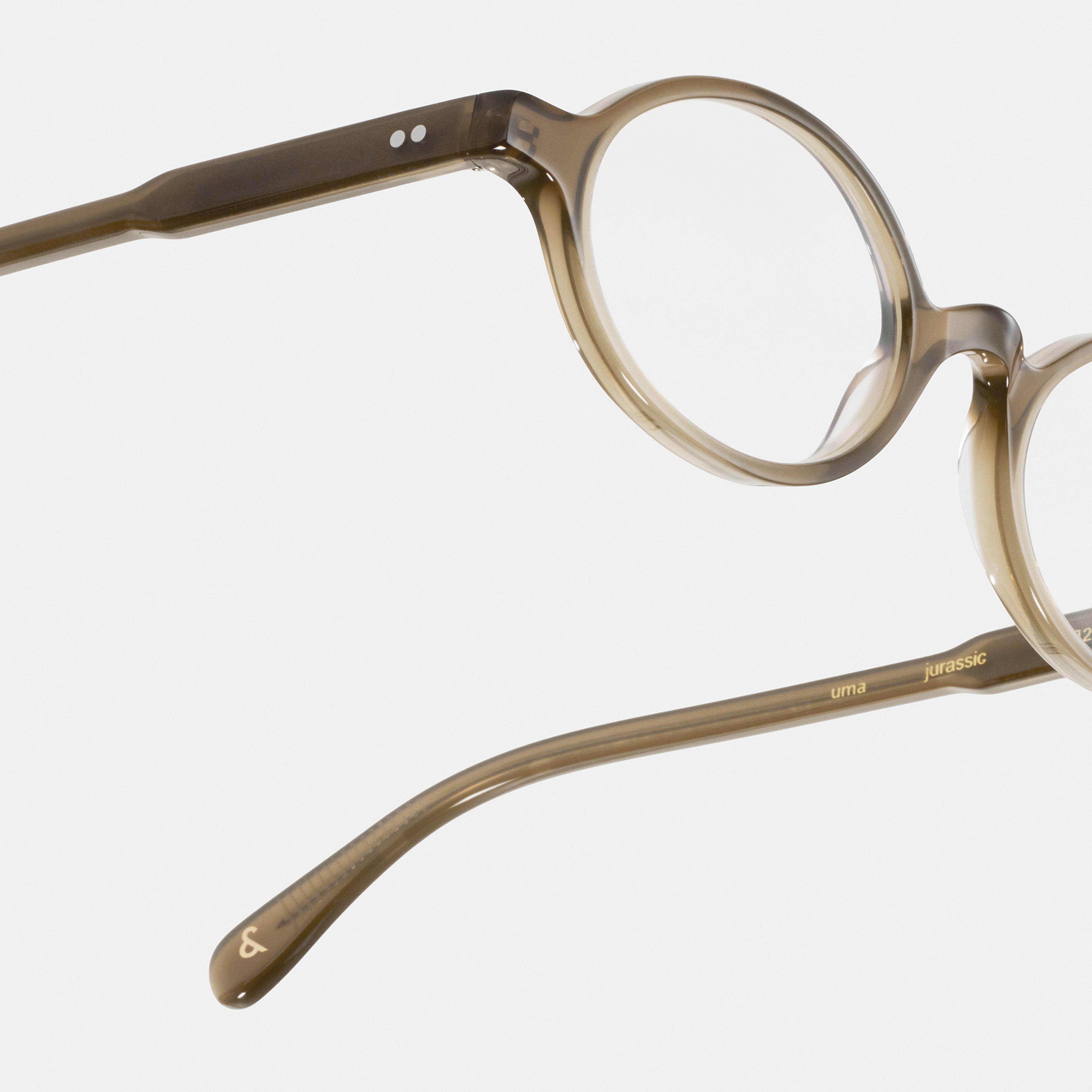 Ace & Tate Optiques | Ronde Acétate in Vert