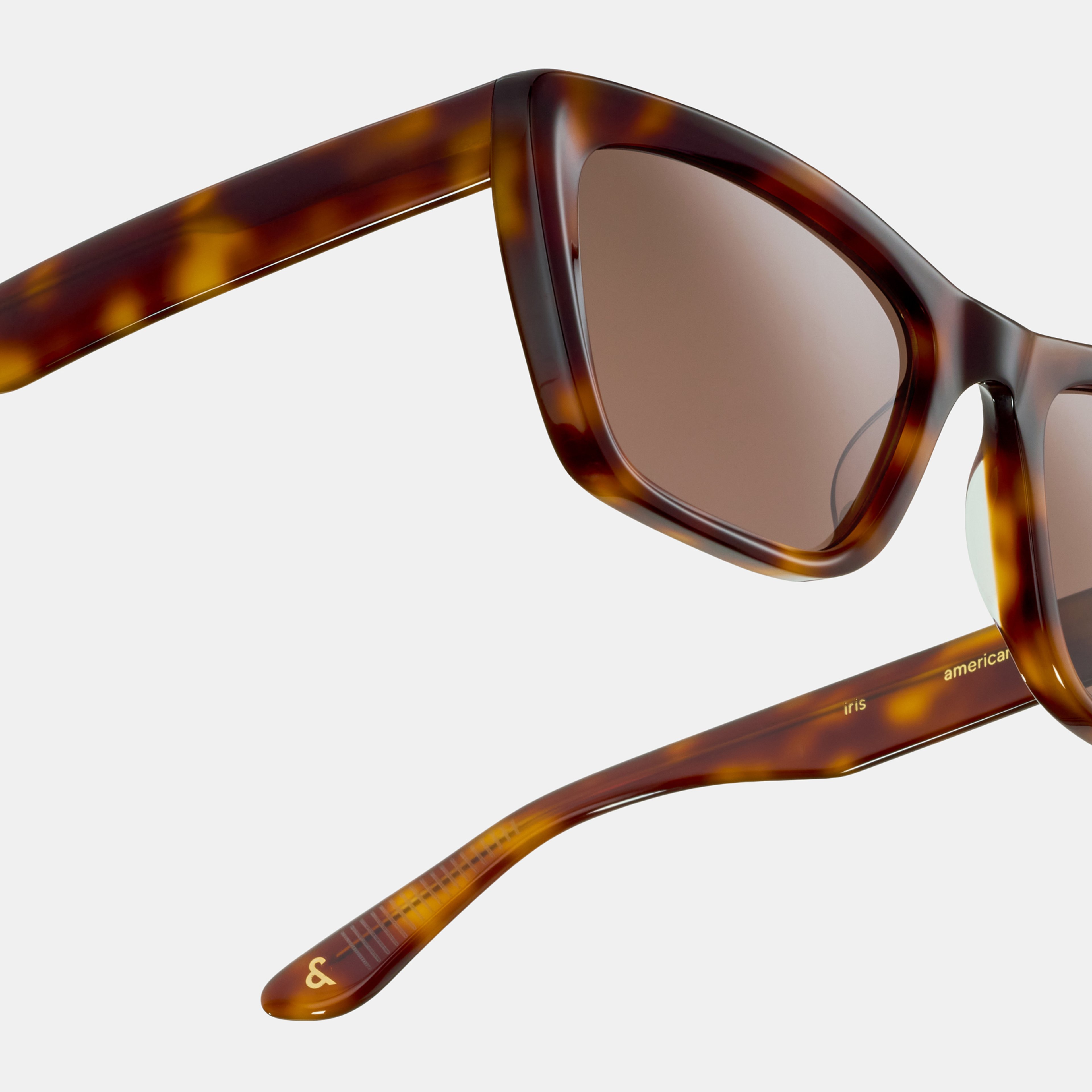 Ace & Tate Zonnebrillen |  Acetaat in Bruin, Zwart