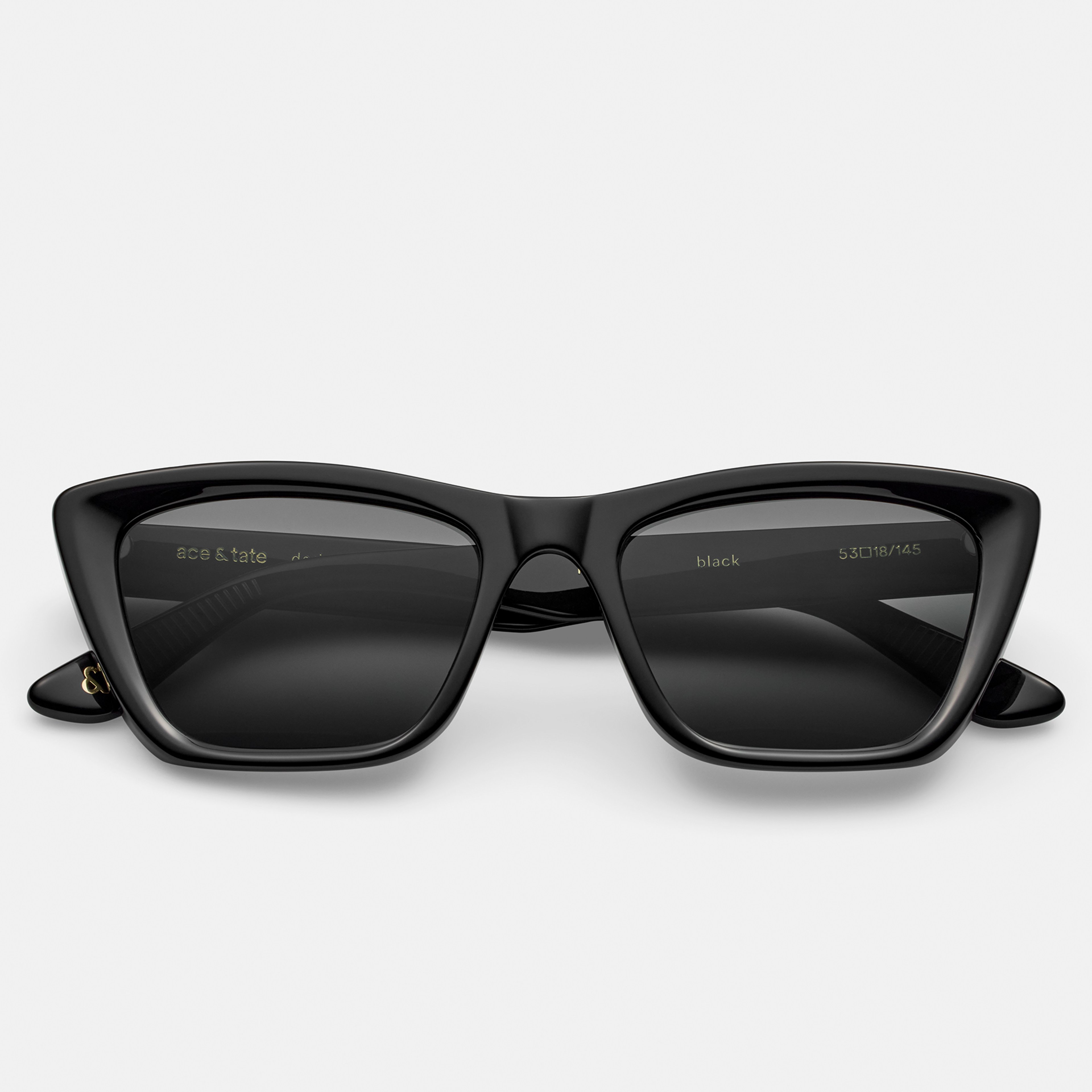 Ace & Tate Sunglasses |  Acetate in Black