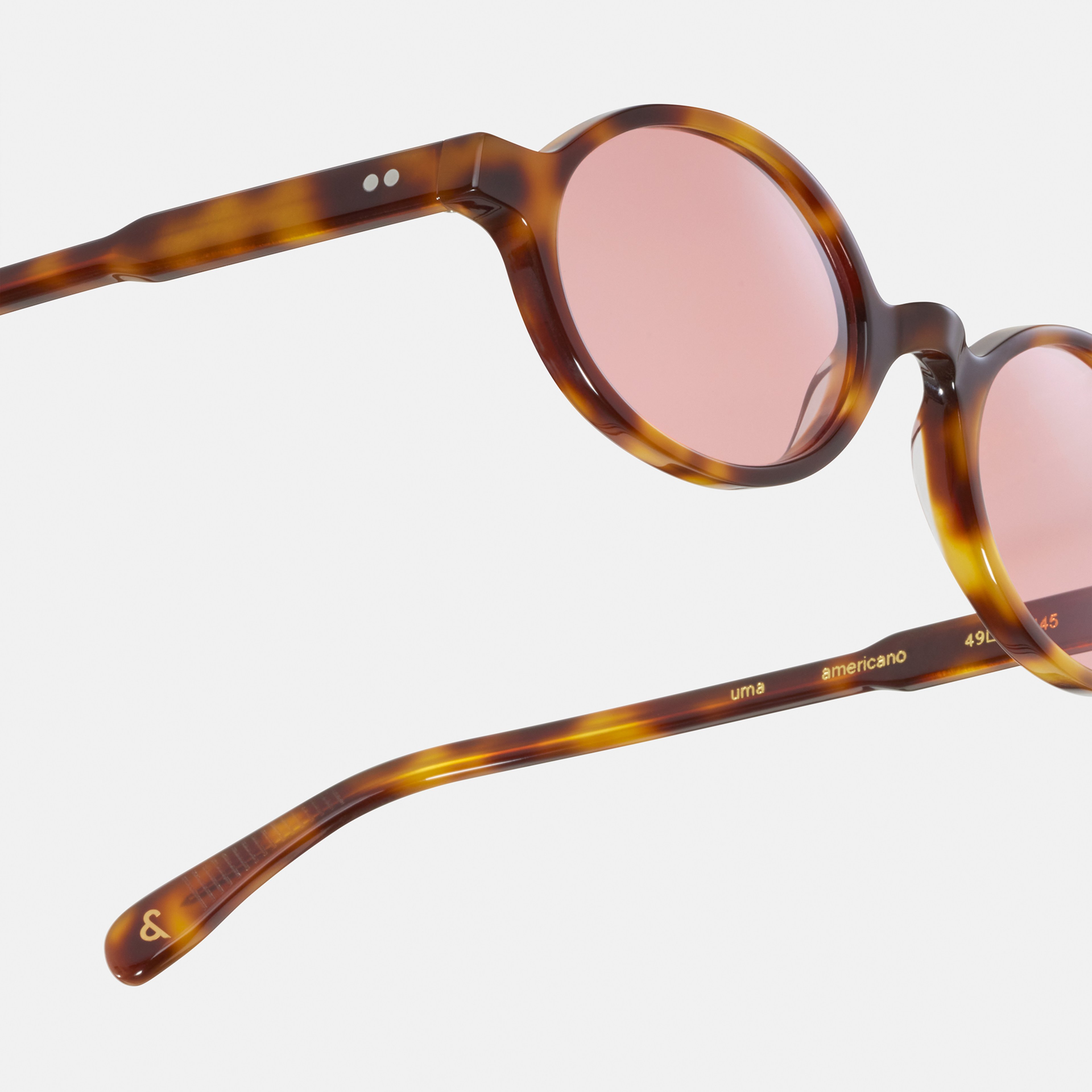 Ace & Tate Sunglasses | Round Acetate in Black, Brown