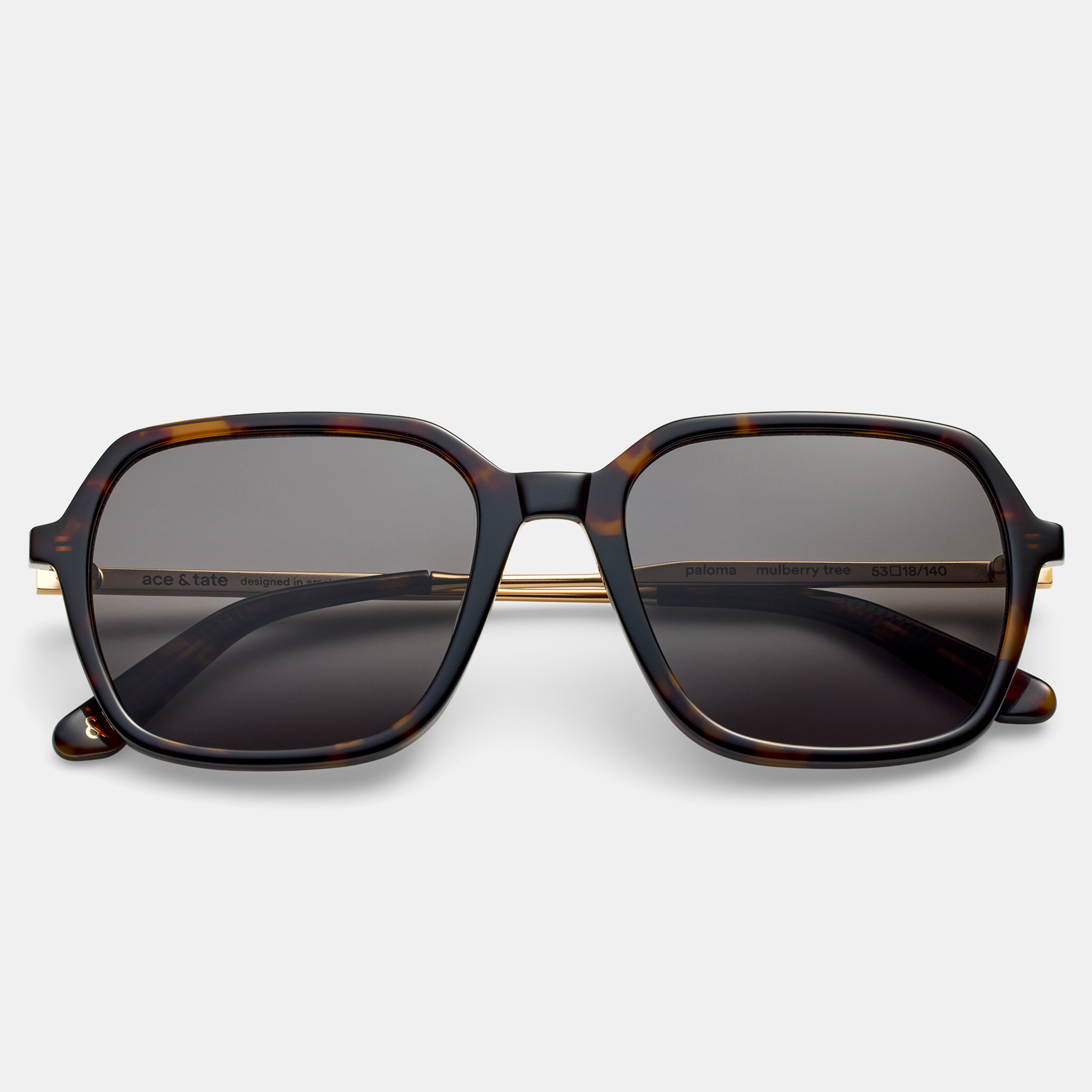 Ace & Tate Zonnebrillen | Vierkant Acetaat in Zwart, Bruin