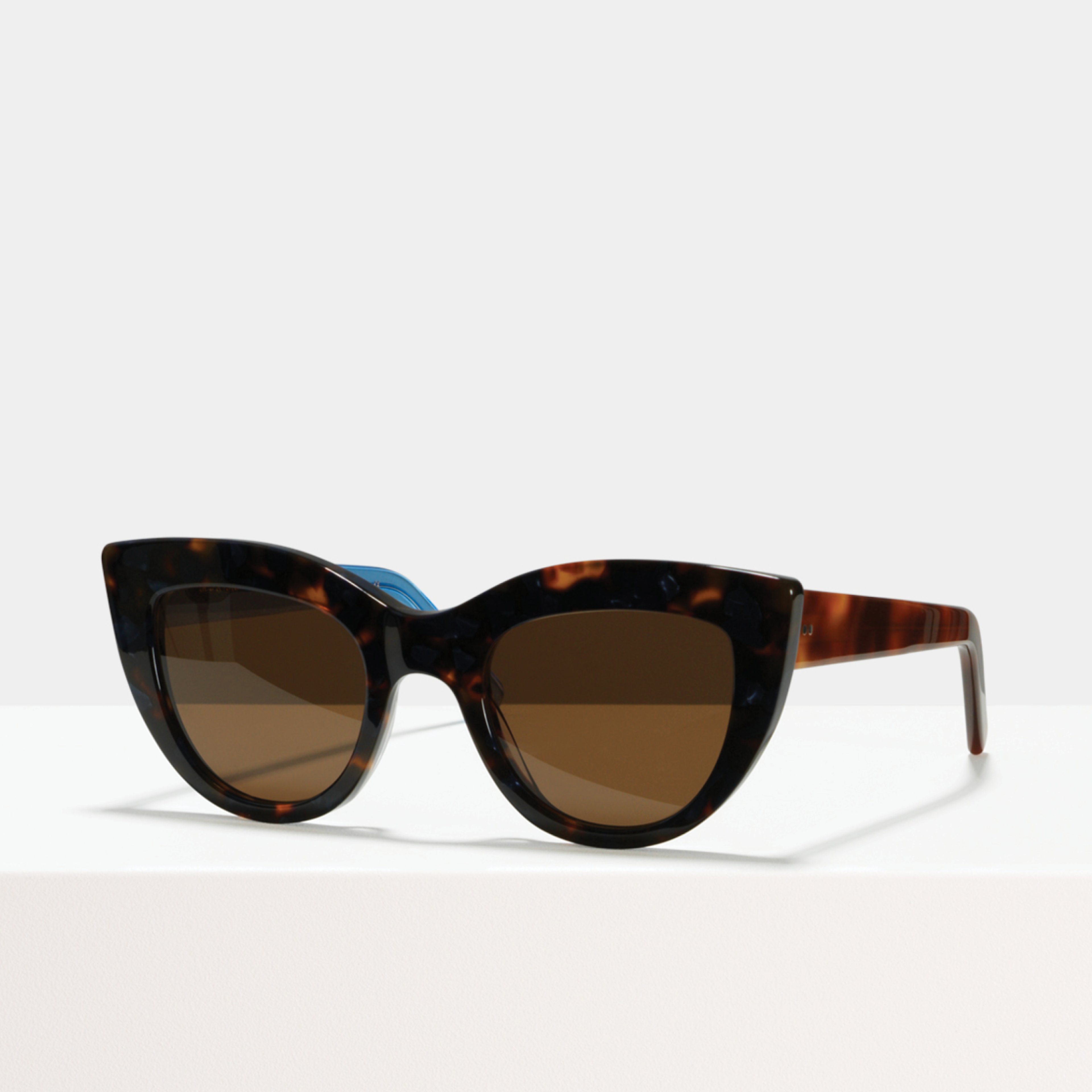 Ace & Tate Sunglasses |  acetate in Blue, Brown, Orange