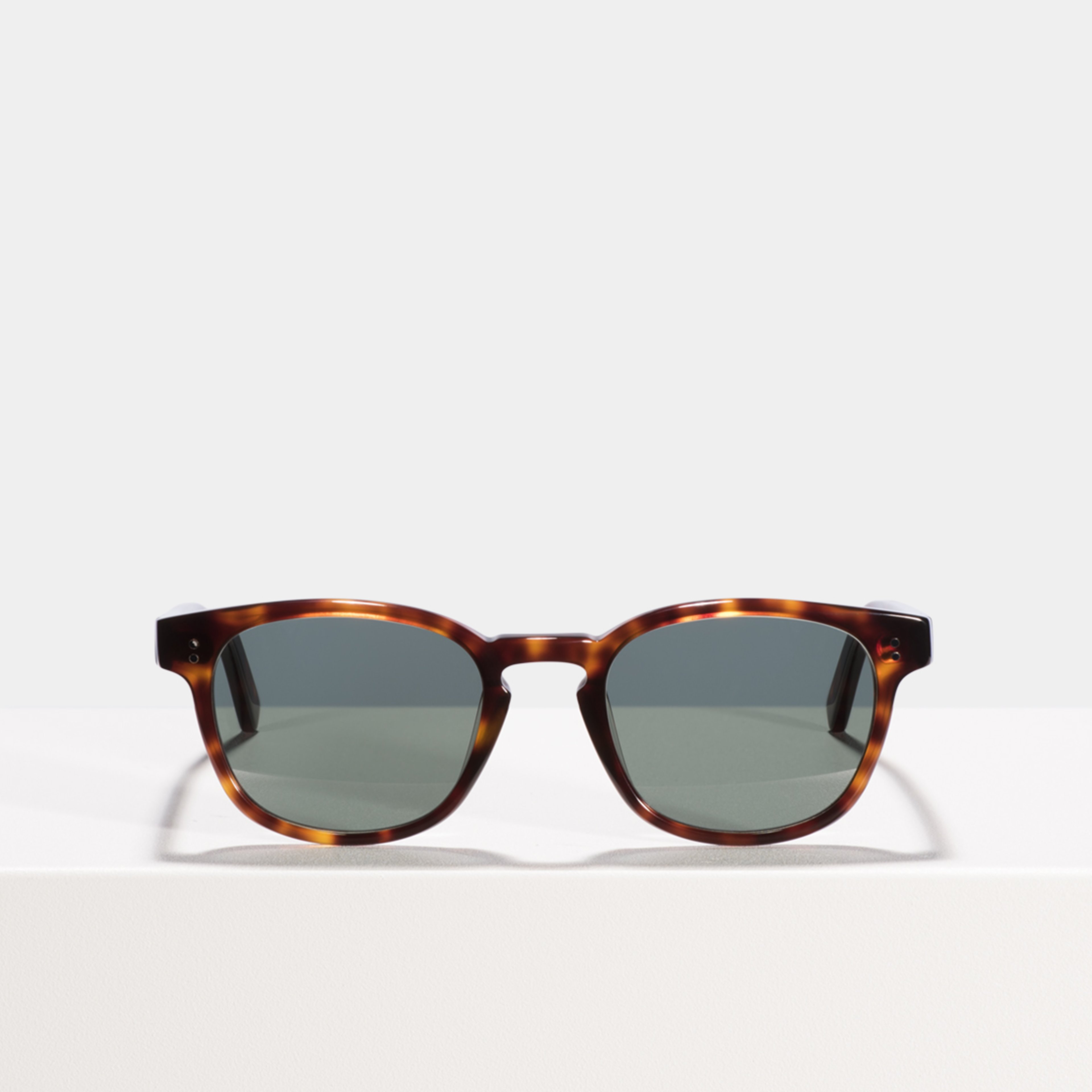 Ace & Tate Sunglasses | square acetate in Brown