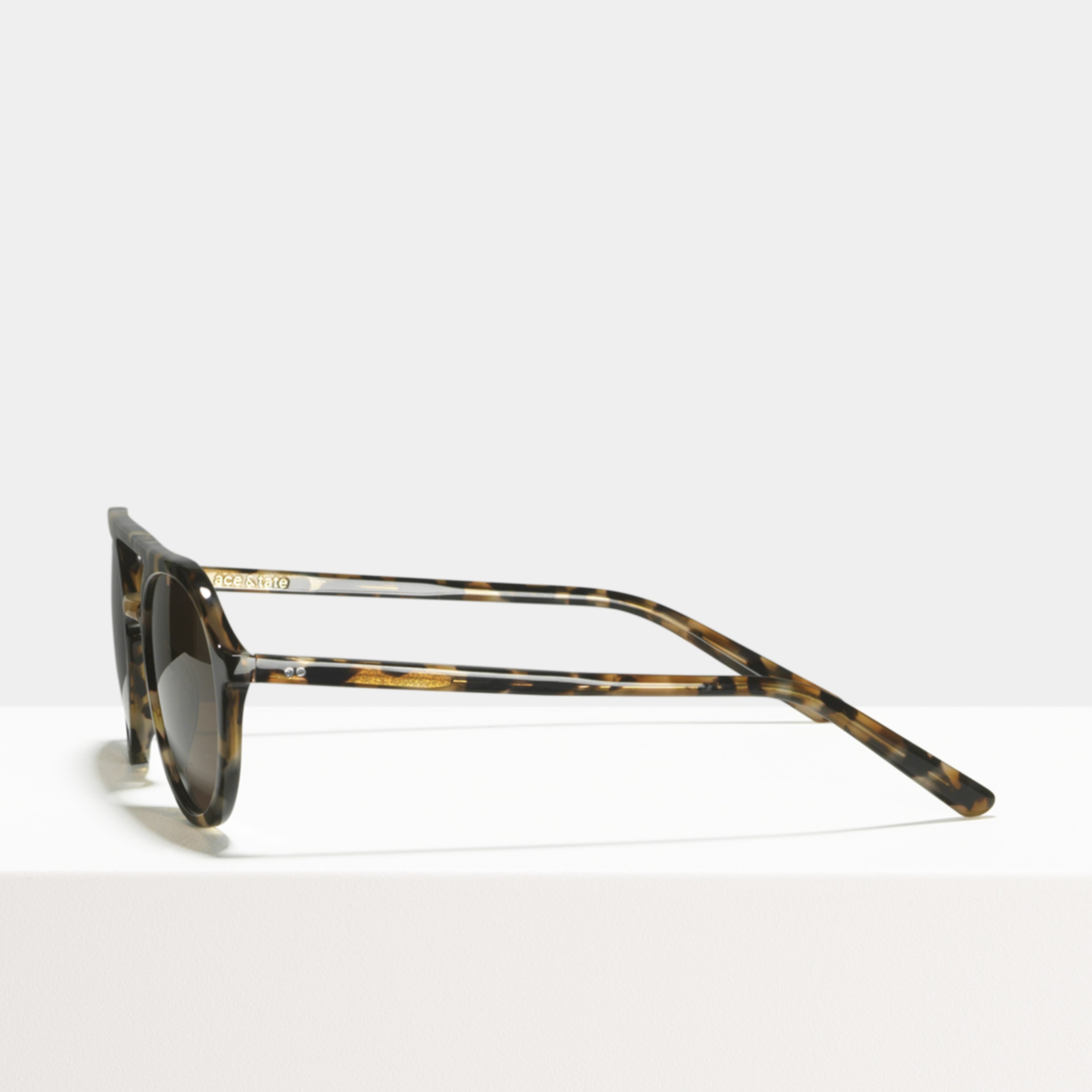 Ace & Tate Sunglasses |  acetaat in Bruin