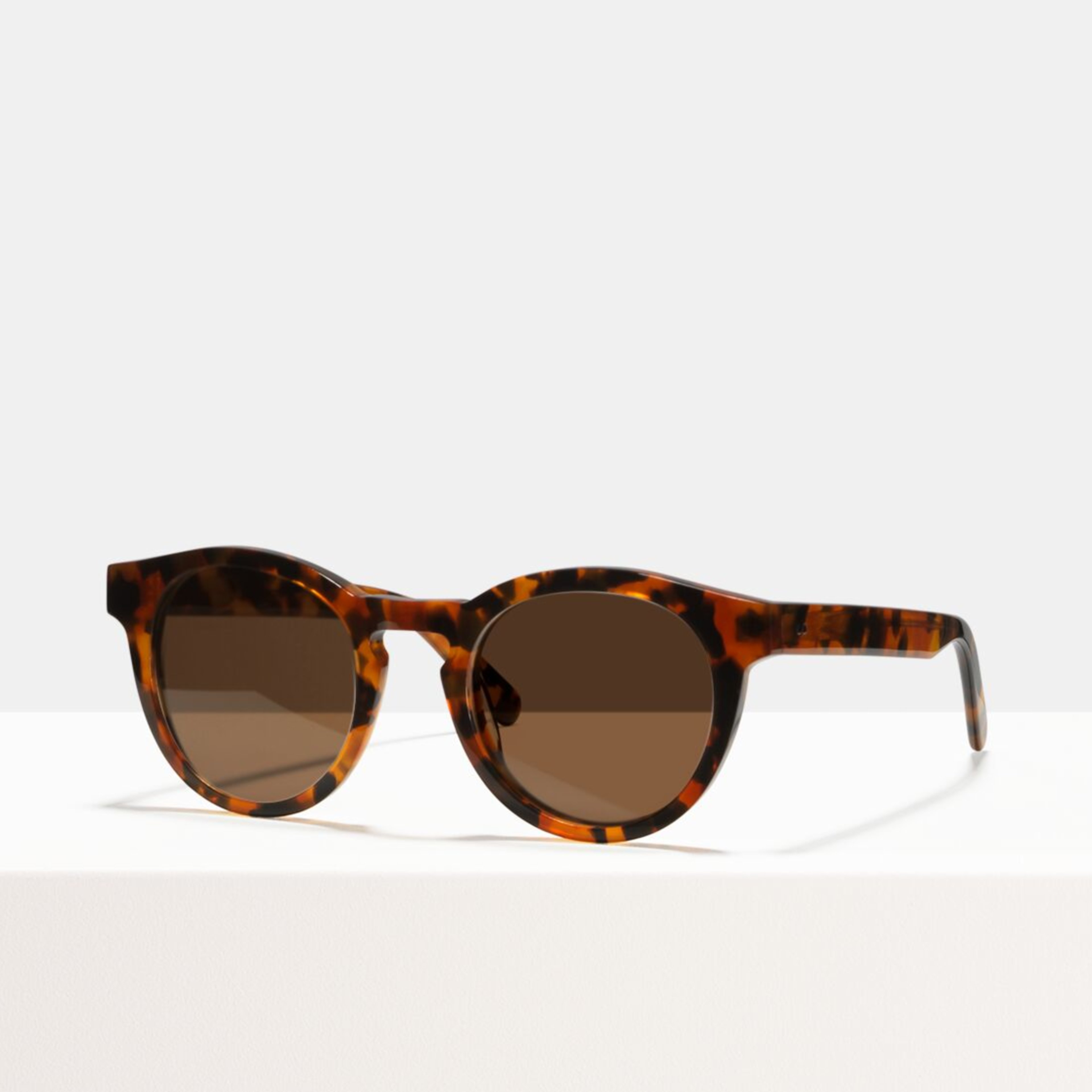 Ace & Tate Sunglasses | round acetate in Black, Brown, Orange, Red