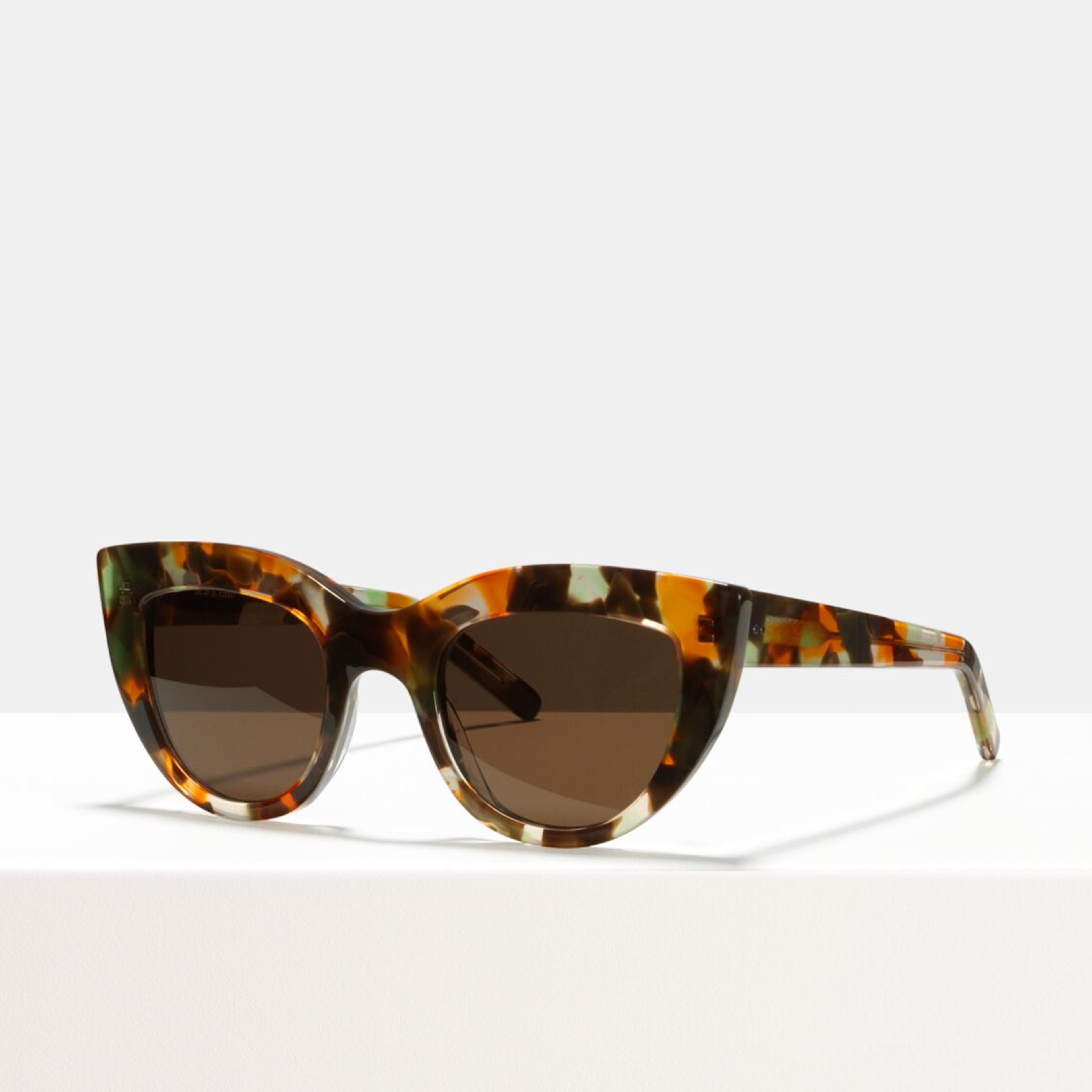 Ace & Tate Gafas de sol |  acetato in Marrón, Verde, Naranja