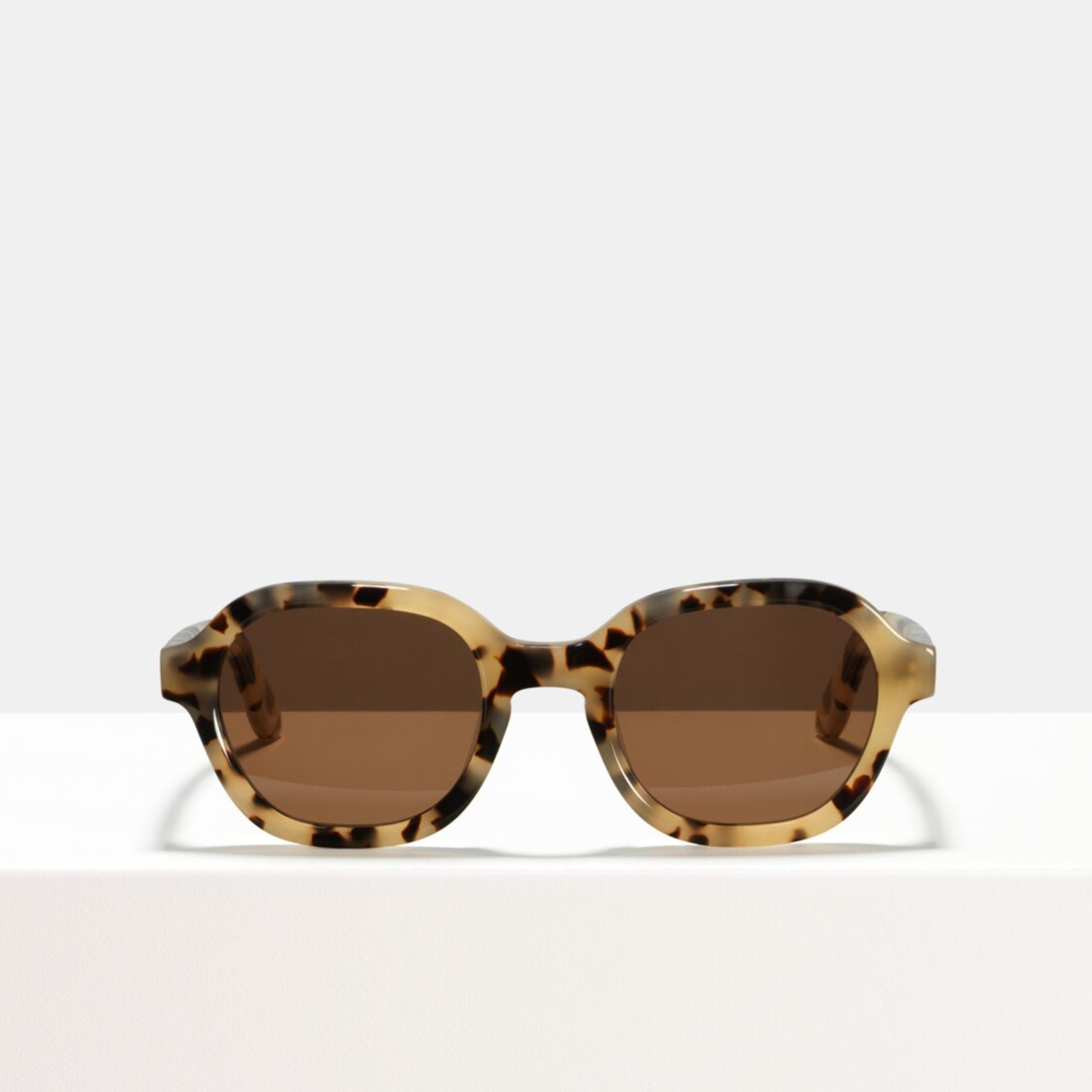Ace & Tate Sunglasses | square acetate in Beige