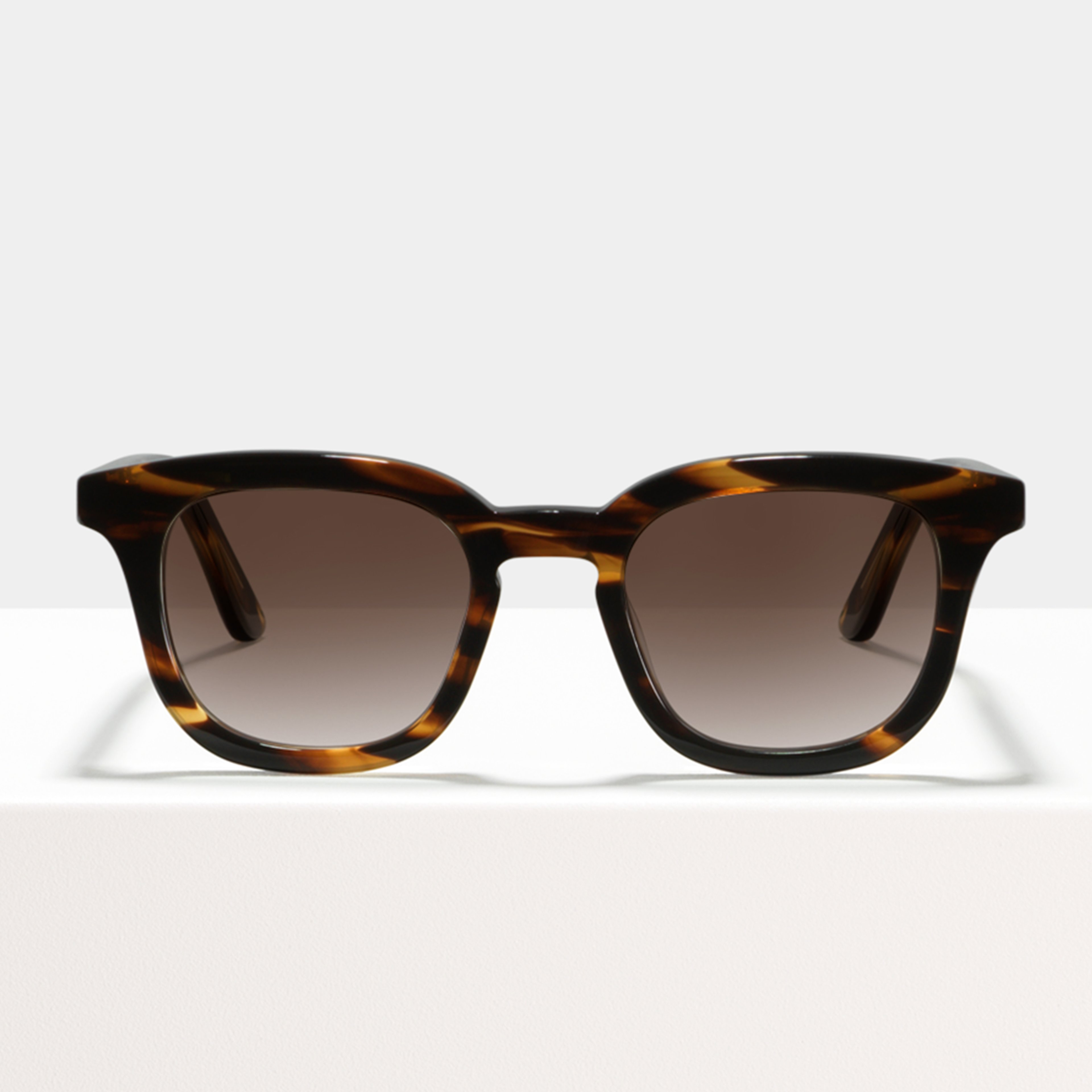 Ace & Tate Gafas de sol | cuadrada Acetato in Marrón, Naranja