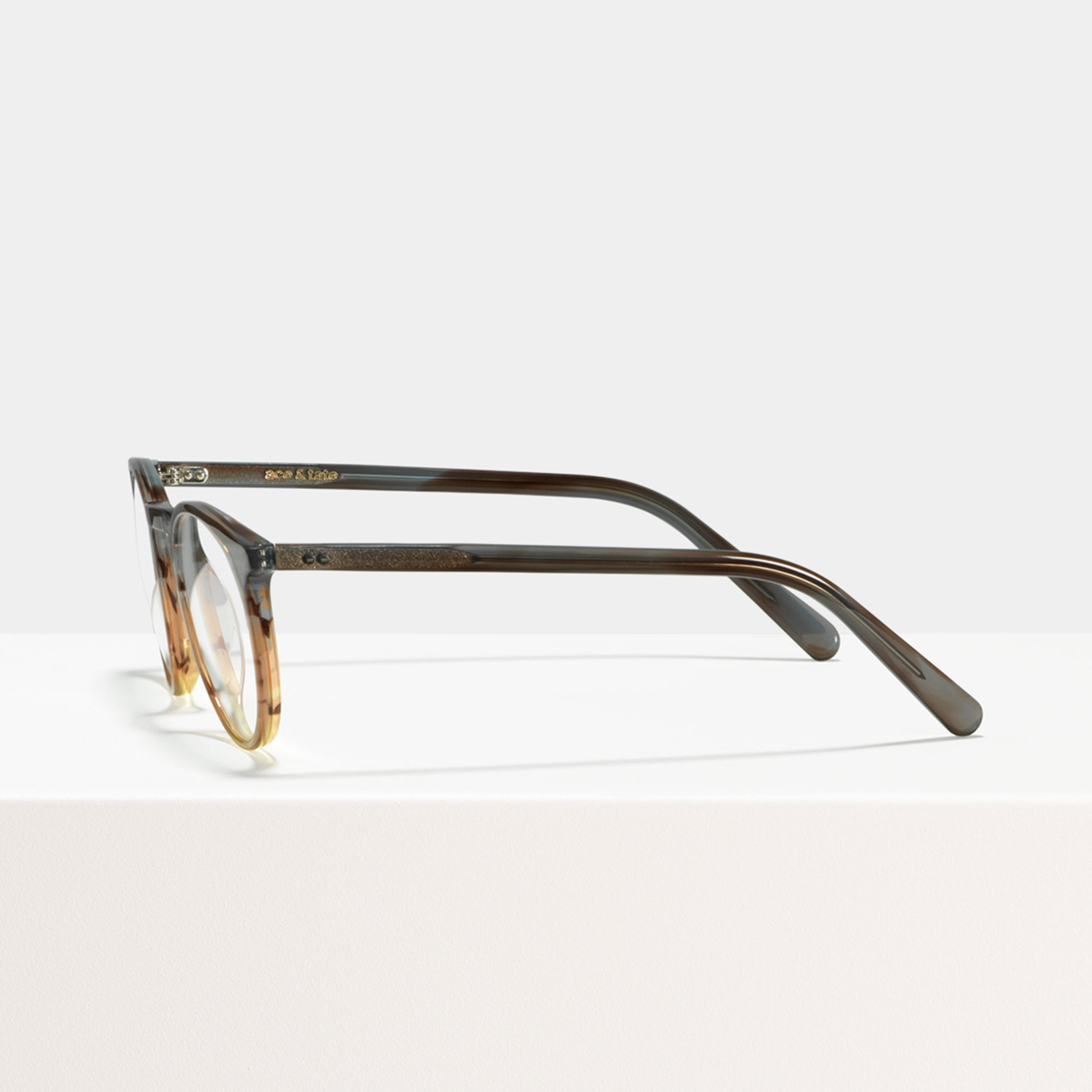 Ace & Tate Glasses | Round Acetate in Brown, Grey, Orange