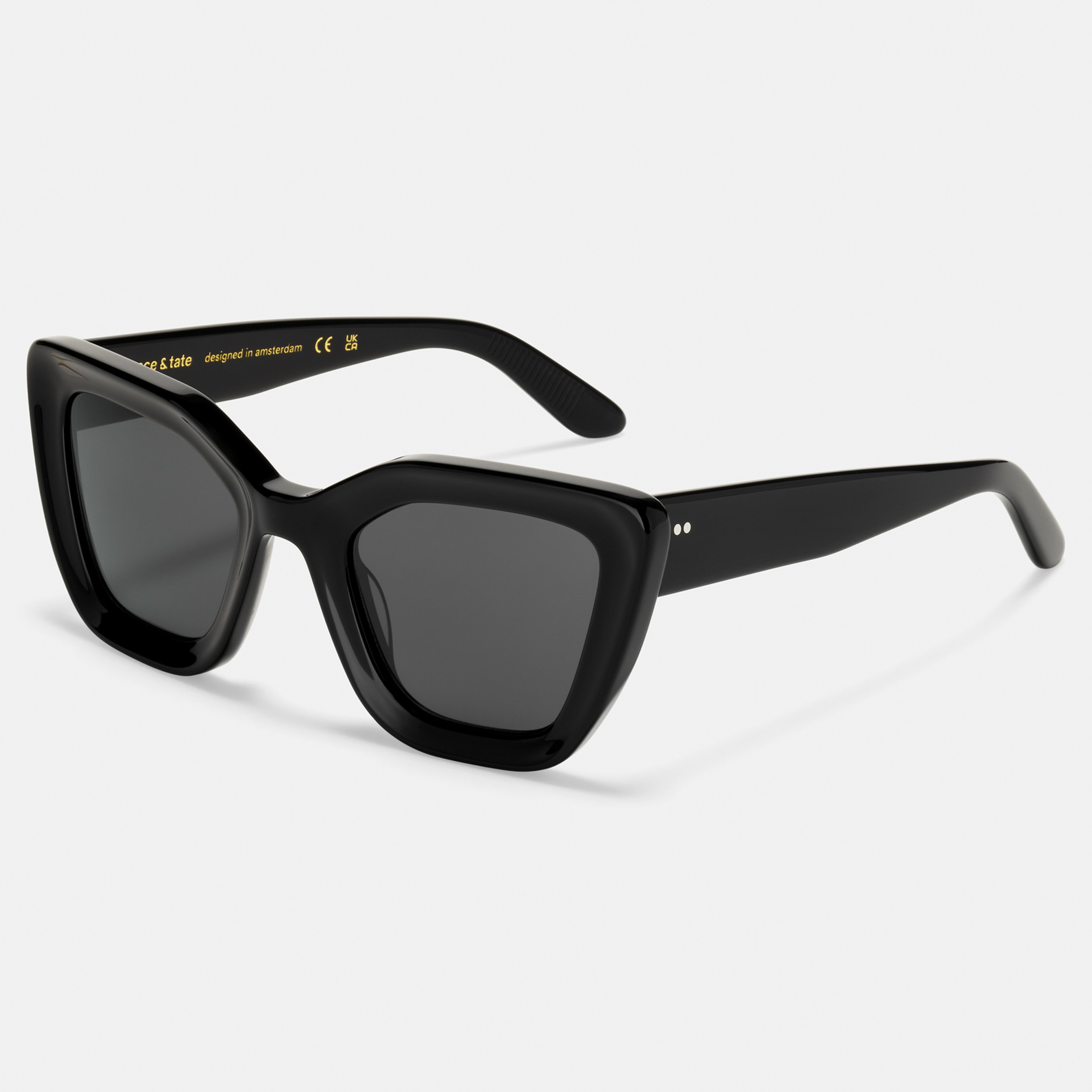 Ace & Tate Sunglasses | Rectangle Acetate in Black