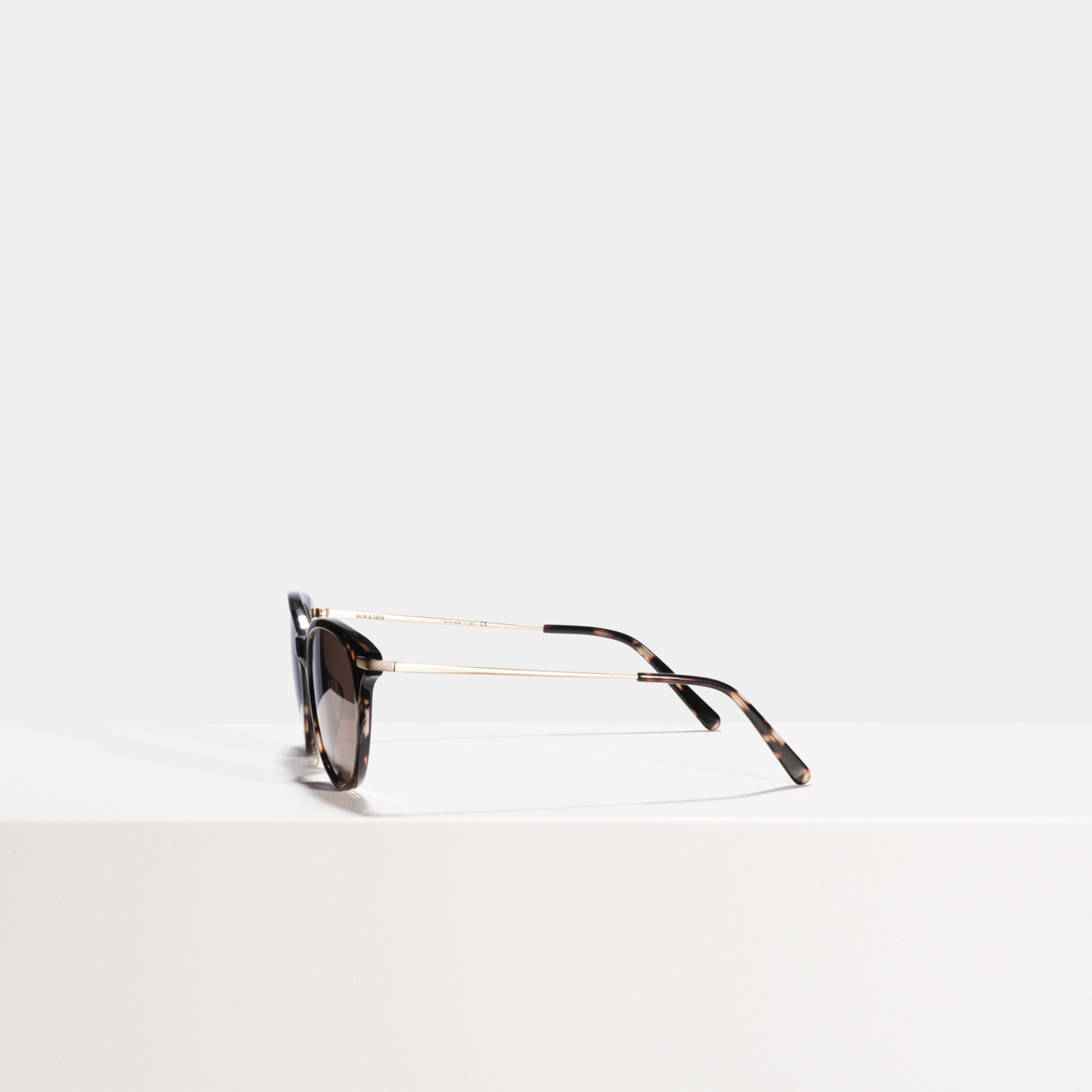 Ace & Tate Sunglasses | Round Combi in Brown