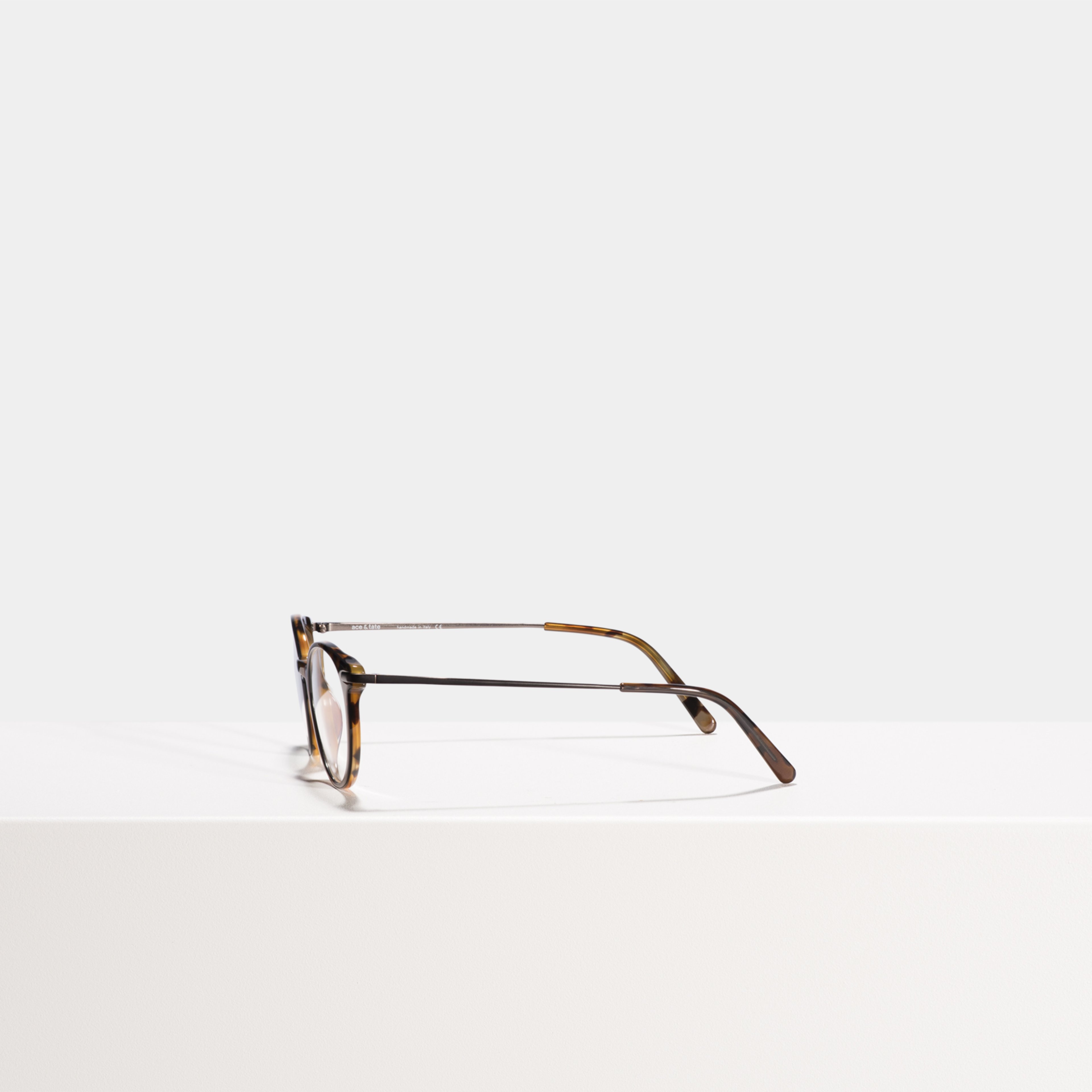 Ace & Tate Optiques | Ronde Acétate in Marron