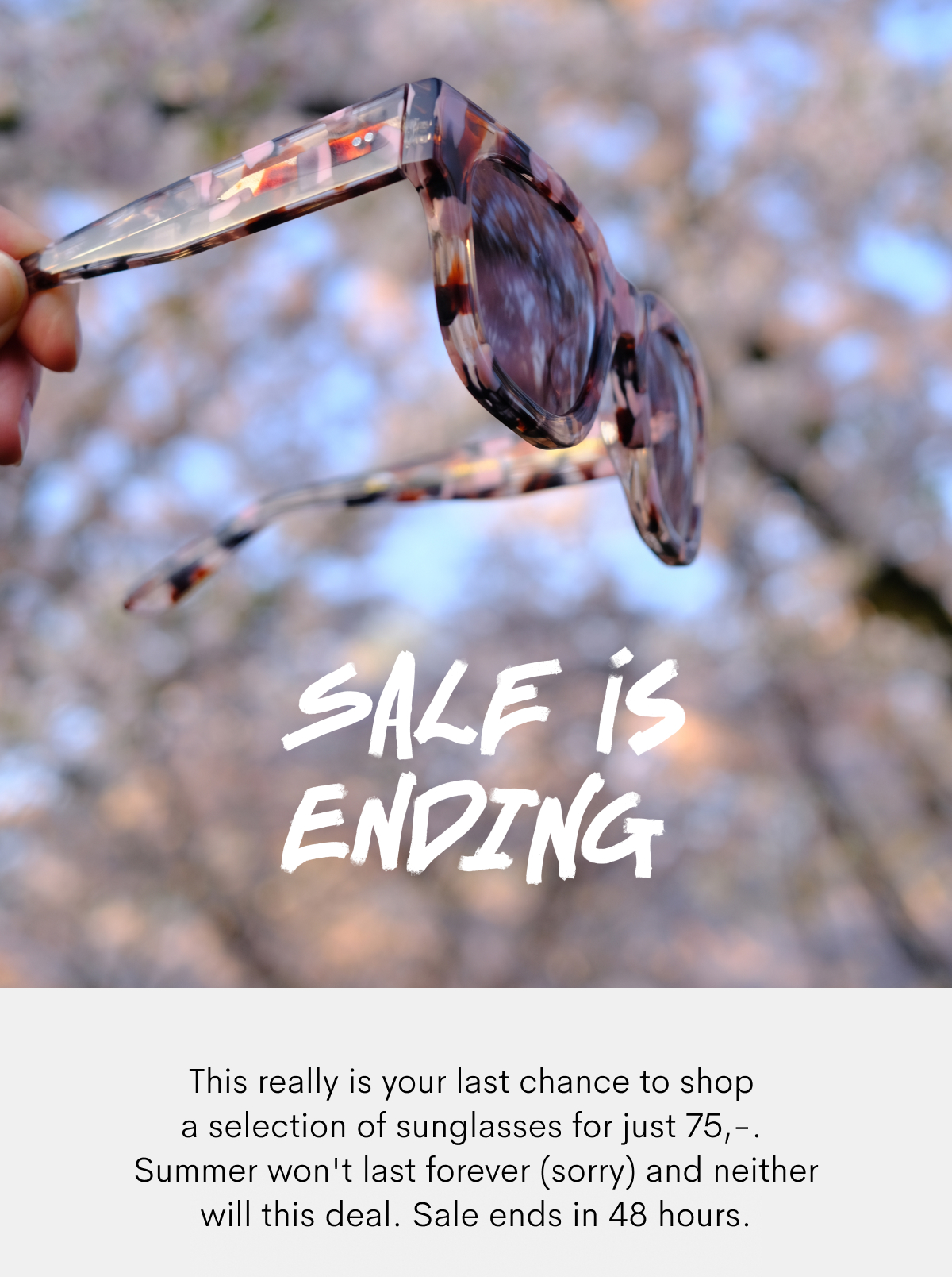Sale is ending in 48h