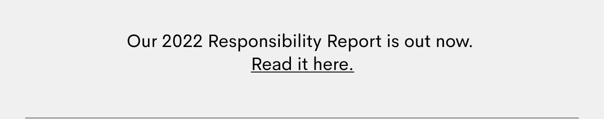 responsibility22report