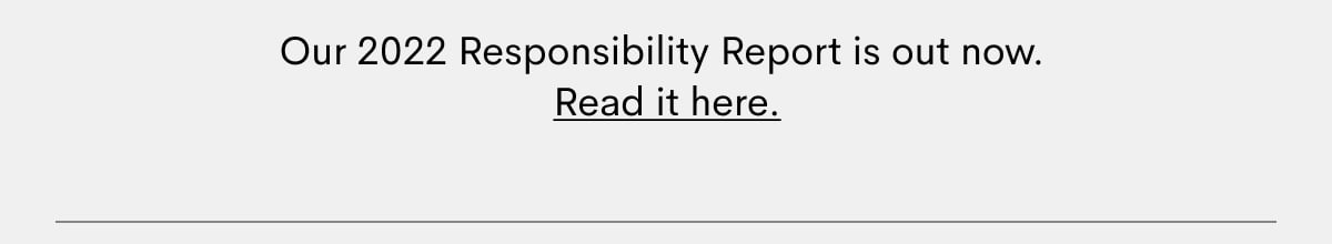 responsibility22report