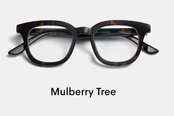 Bobby Mulberry Tree