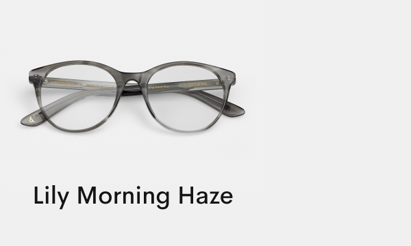 Lily Morning Haze