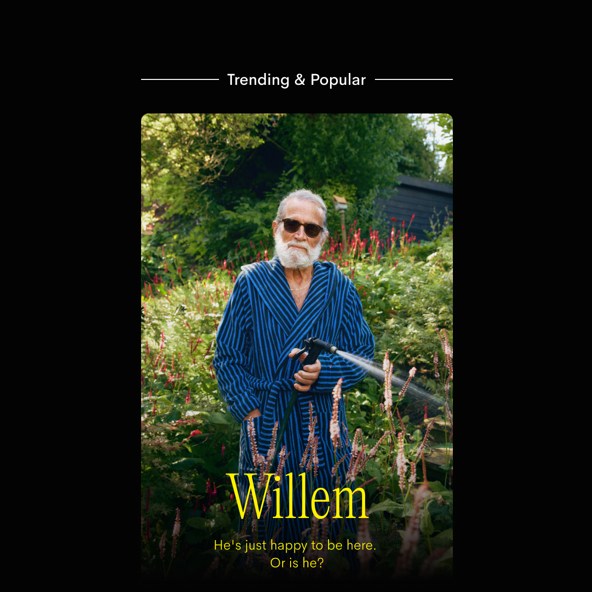 Willem